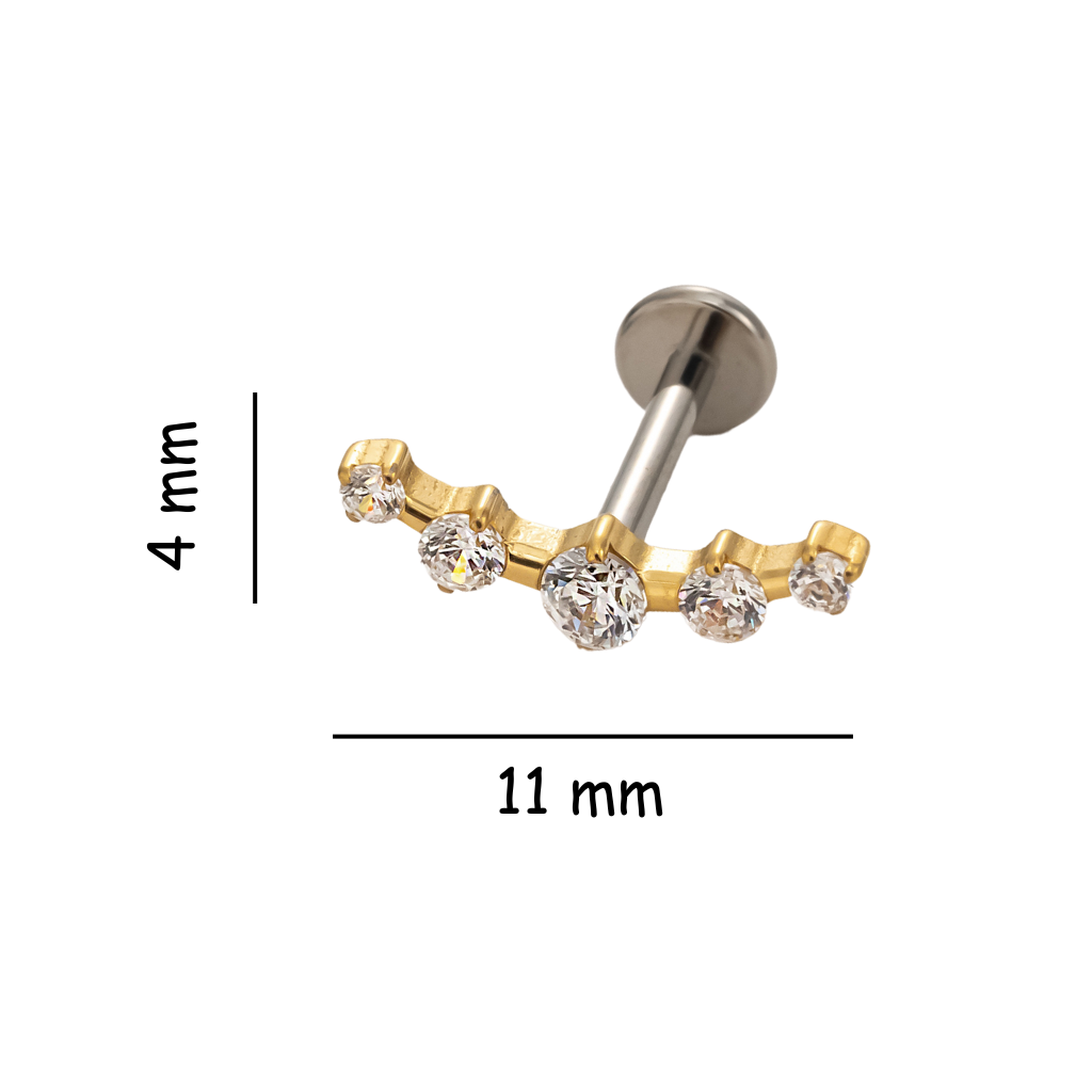 Radiant Row Titanium Flat Back Stud Earring