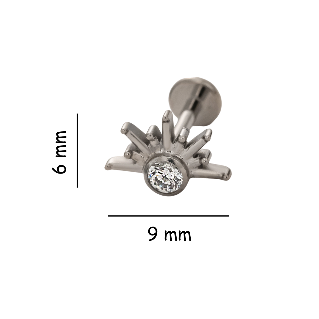 Sunbeam Titanium Flat Back Stud Earring