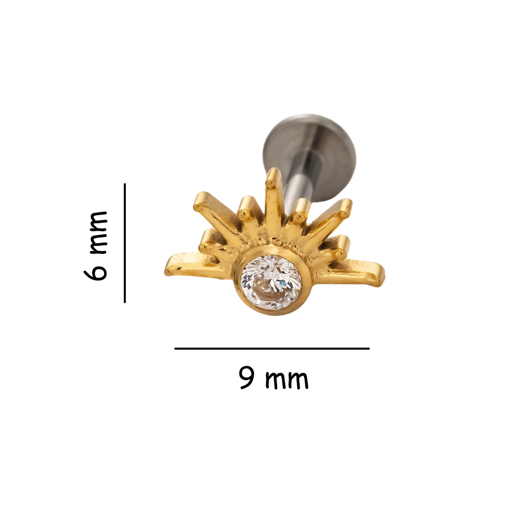 Sunbeam Titanium Flat Back Stud Earring