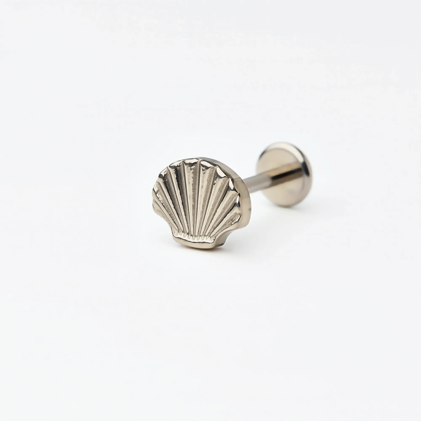 Single Titanium Shell Crest flat back stud earring in natural titanium. Angled front view highlighting the shell-shaped design and implant-grade titanium push-in post, hypoallergenic for sensitive ears.