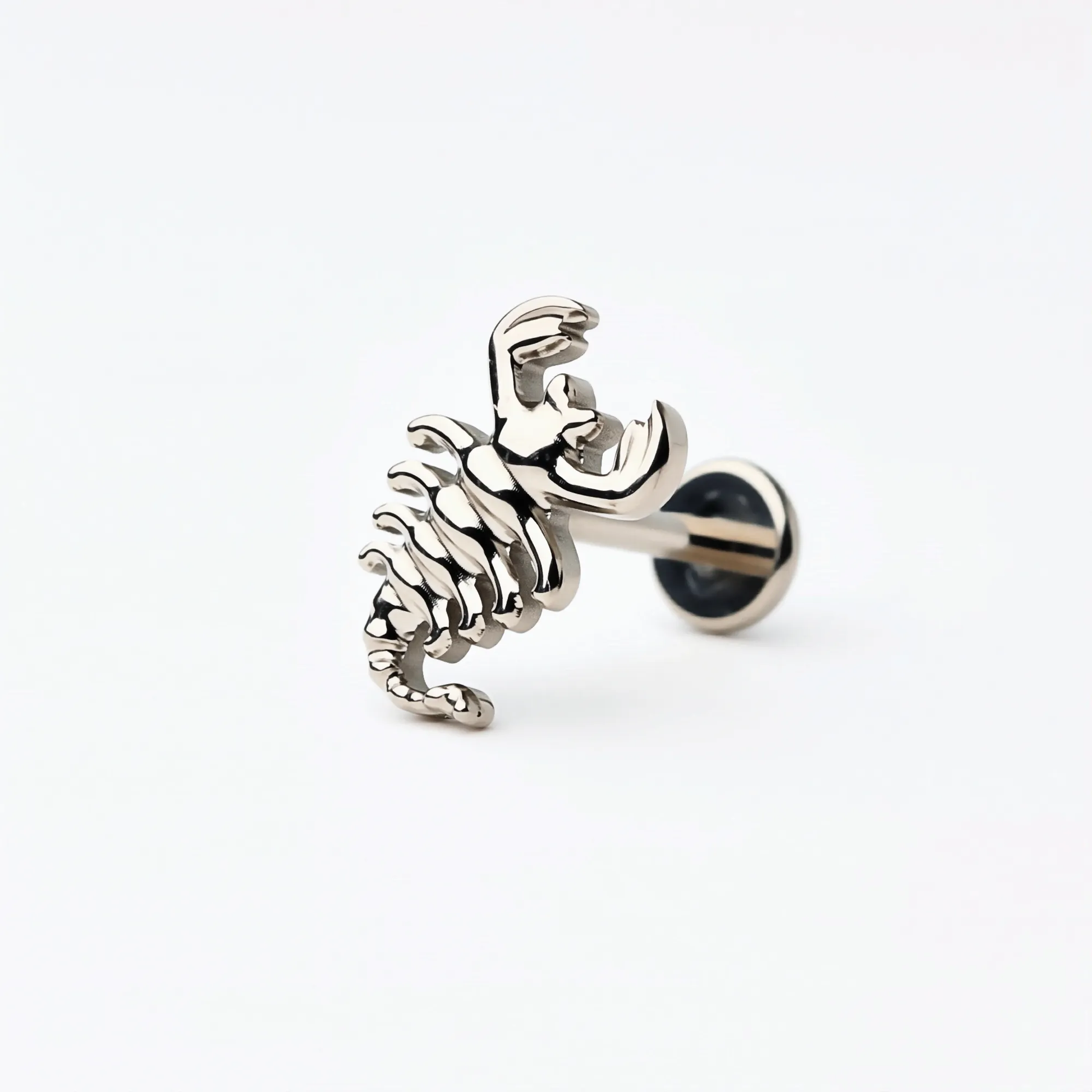 Single-color view of the Titanium Scorpion Curve flat back stud earrings in natural titanium. Angled front detail showing the curved textured design and hypoallergenic implant-grade titanium push-in post.