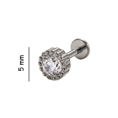 Crown Spark Titanium Flat Back Stud Earring