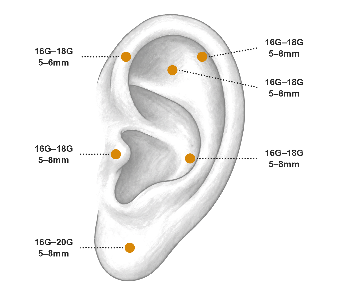 Earring gauge and post length reference by ear placement. Anatomy varies; measure an earring you already wear or ask your piercer to confirm.