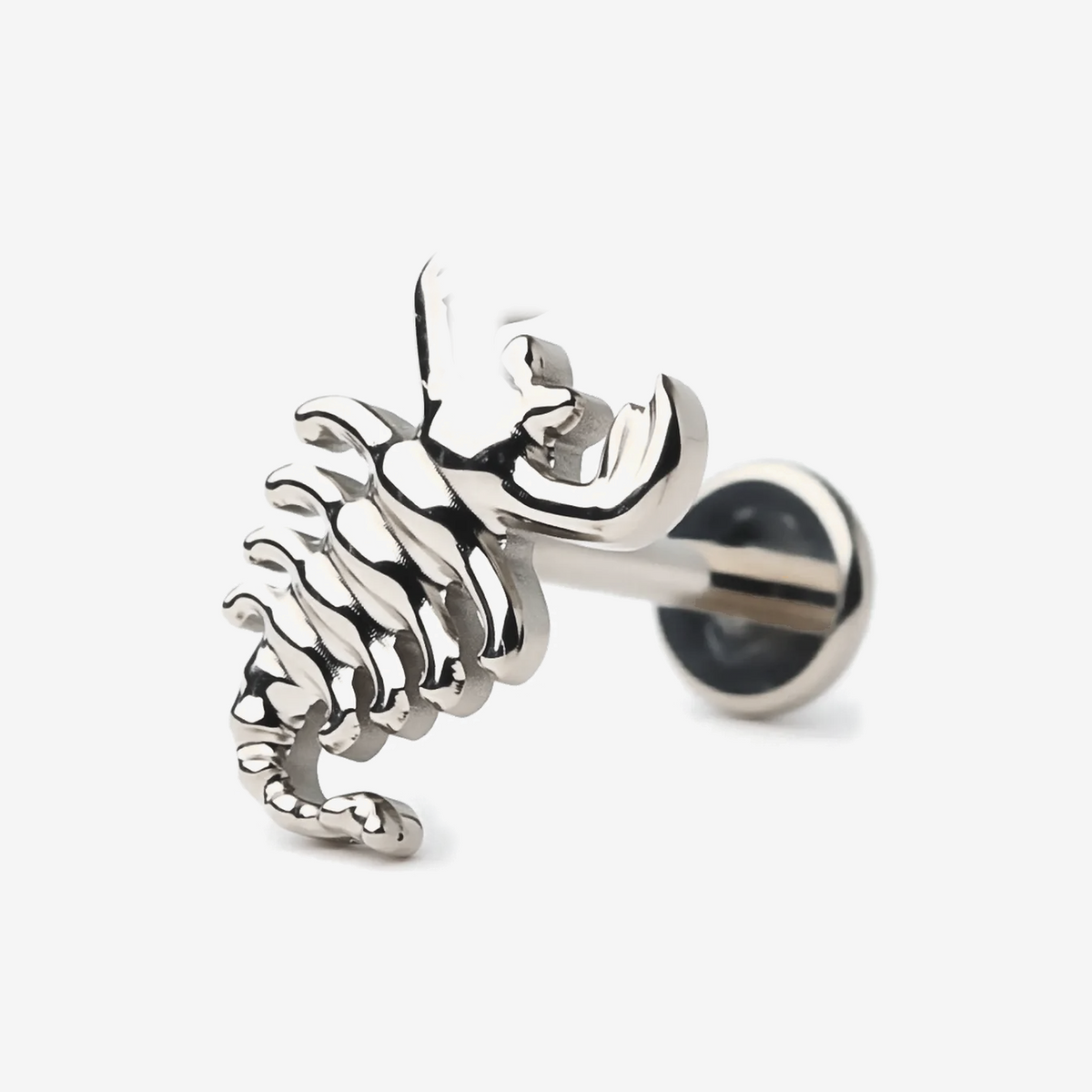 Scorpion Curve titanium flat back stud earring