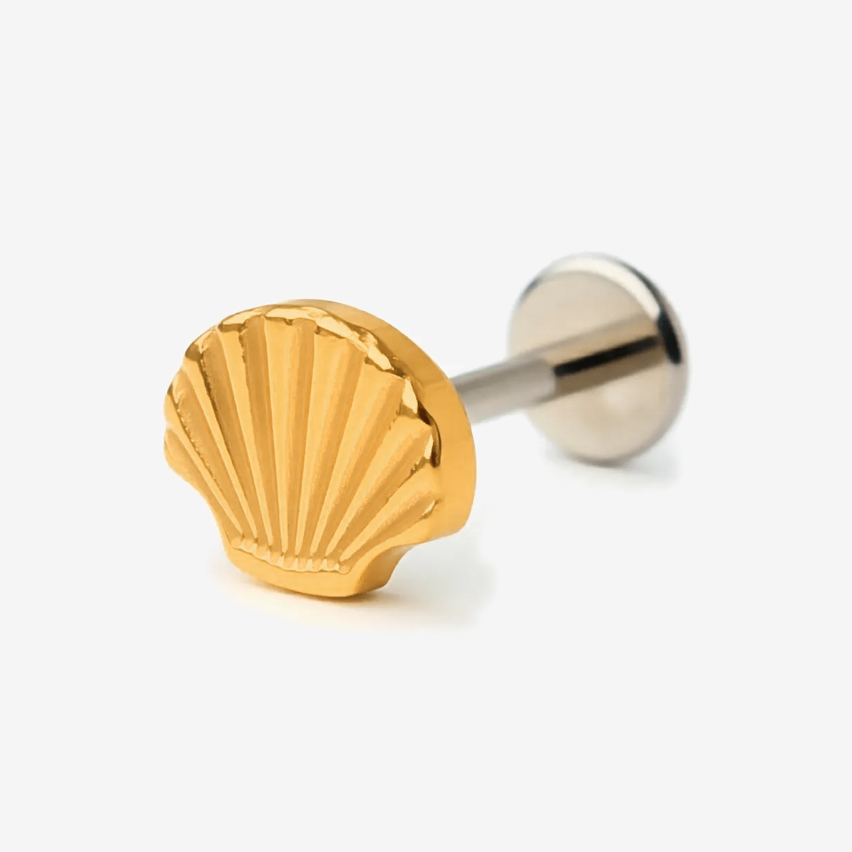 Shell Crest gold titanium flat back stud earring